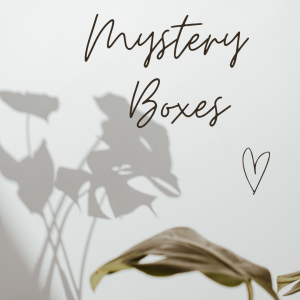 Mystery Boxes