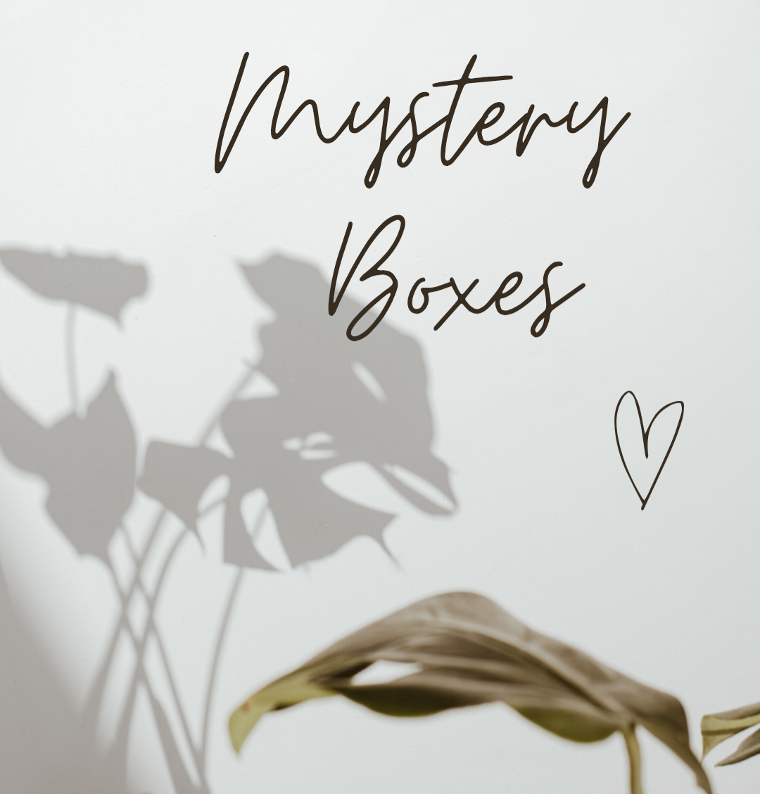 Mystery Boxes