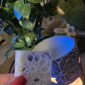 Wax Melt Samples